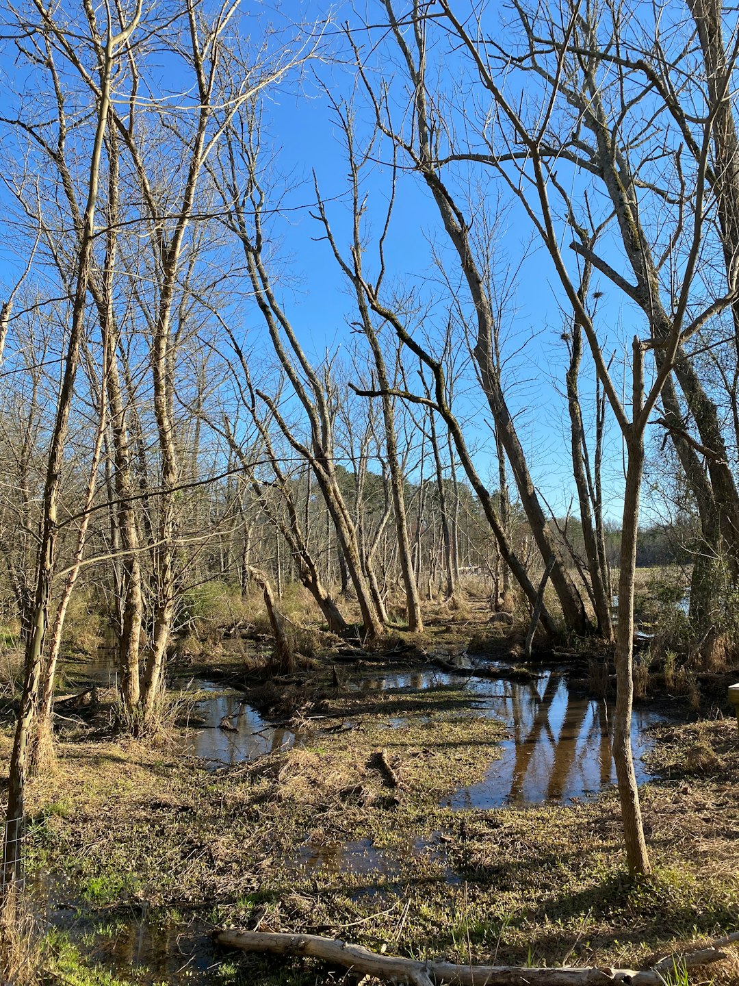 What is the procedure for selling Mississippi land for money?