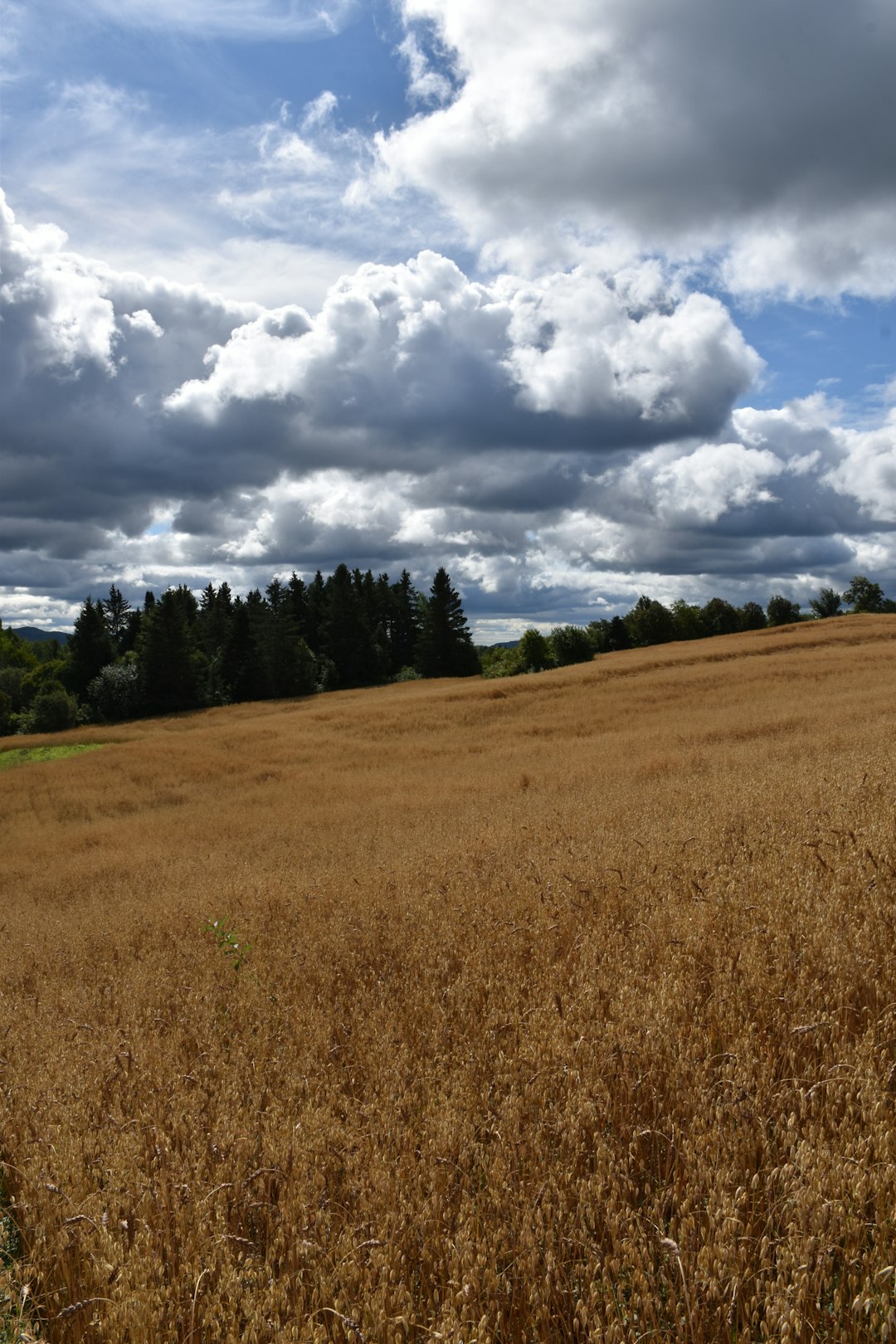 What is the procedure for offering Wisconsin land for cash money?
