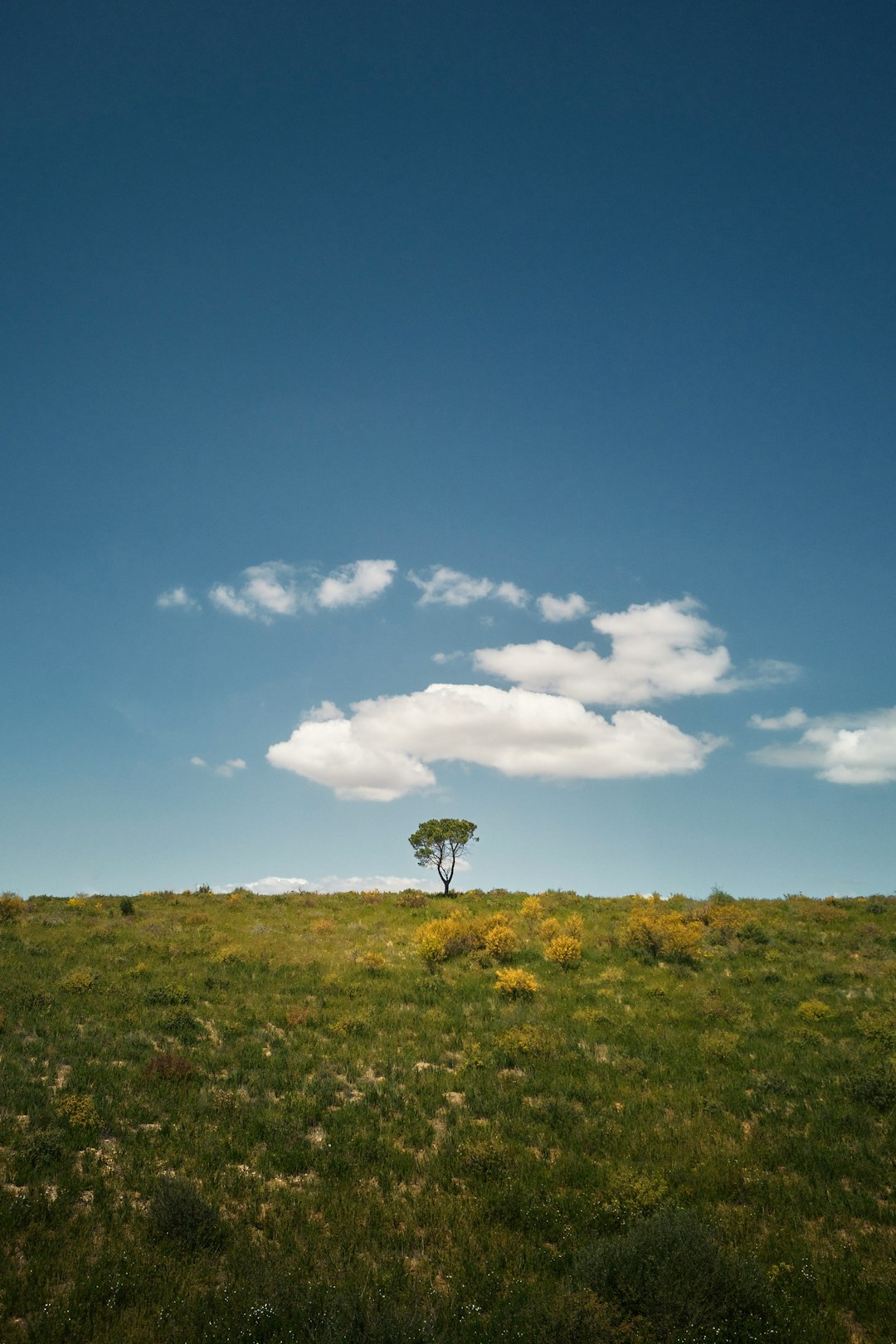 What is the worth of Wisconsin land when selling for cash?