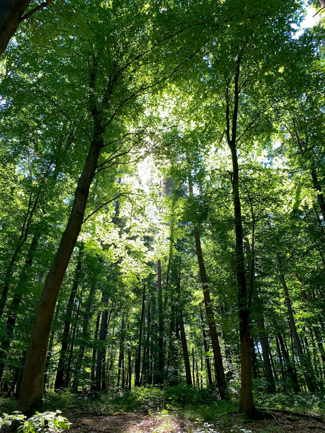 What is the lawful documentation called for to market Wisconsin land for cash money?