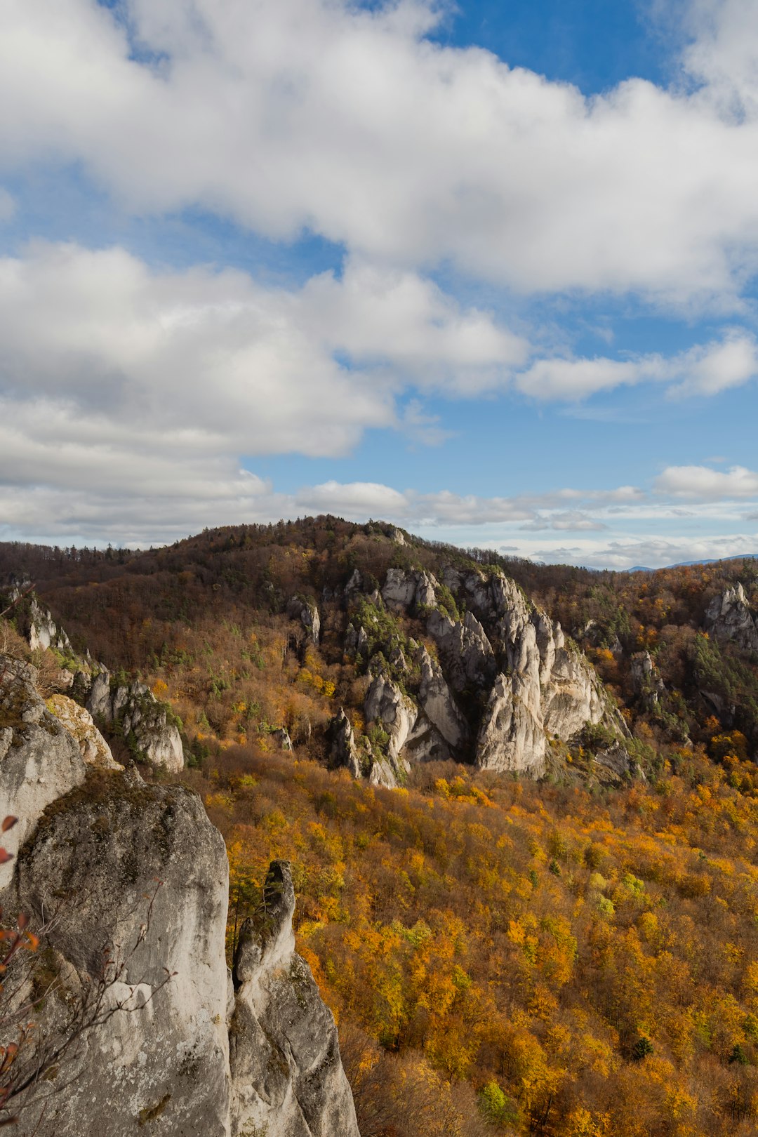 What is the lawful paperwork required to offer Wisconsin land for cash?